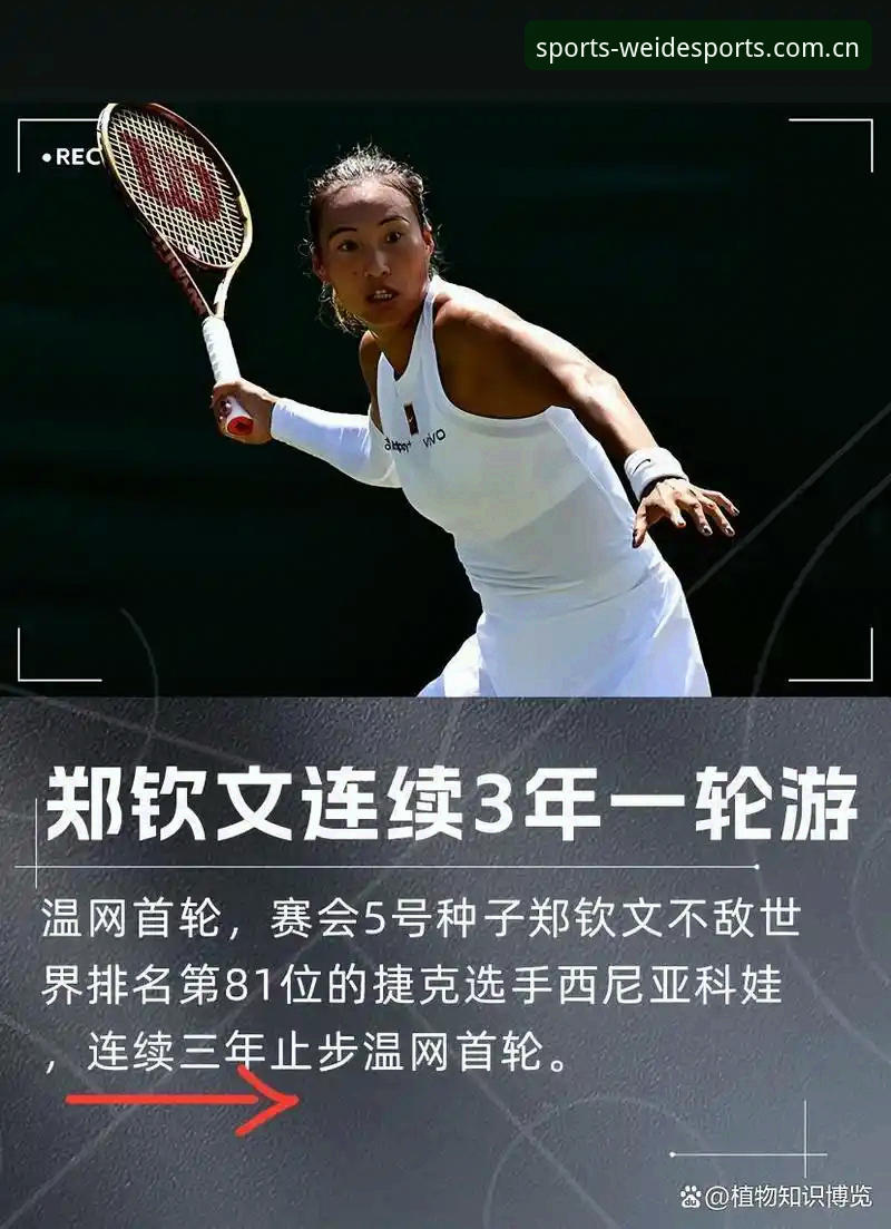 郑钦文巴特洪堡站逆转晋级数据复盘操作教程
